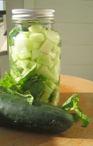 Cucumber_Vodka1